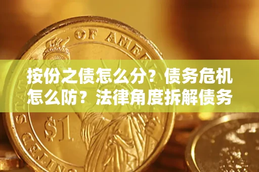 北京按份之债怎么分？债务危机怎么防？法律角度拆解债务分配与风险自保指南