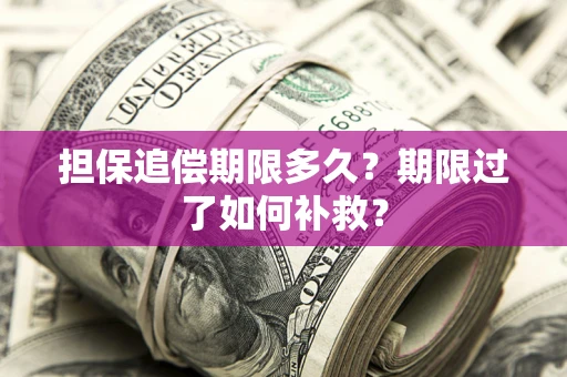 北京担保追偿期限多久？期限过了如何补救？