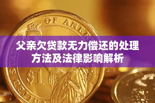北京父亲欠贷款无力偿还的处理方法及法律影响解析